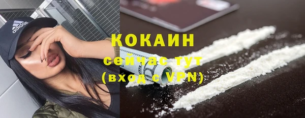 трава Белокуриха