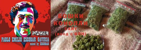 трава Белокуриха