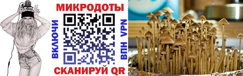 наркошоп Кукмор Псилоцибиновые грибы Magic Shrooms